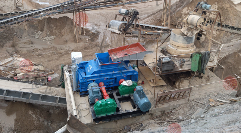 1000��݁��ɰƷ�|(zh��)֮�x